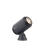 castor_3_177s_big_image